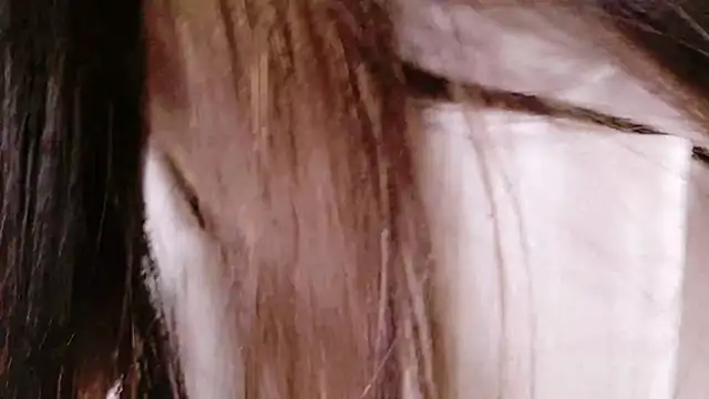 Snapshot of irohani_usagi chatting on February 2025 12:50:01 PM irohani usagi online show from February 2025 12:50:01 PM