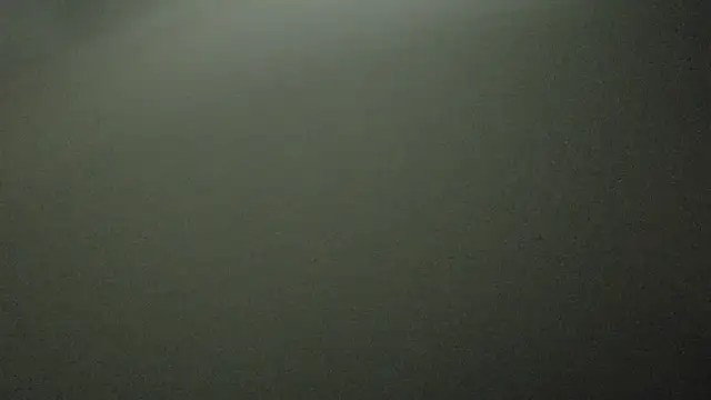 Armyexhibitionistvet online show from October 2025 11:35:01 PM