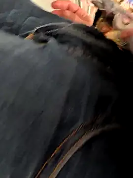 Armyexhibitionistvet online show from October 2025 05:00:01 PM