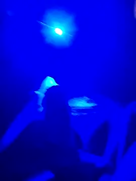 prcalek19 online show from November 2025 07:46:02 PM