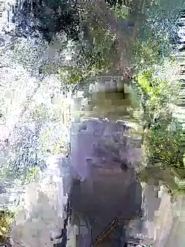 Snapshot of Javan_ chatting on February 2026 11:05:02 AM Javan online show from February 2026 11:05:02 AM