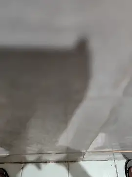 Snapshot of joejoe7 chatting on November 2025 01:33:01 AM joejoe7 online show from November 2025 01:33:01 AM