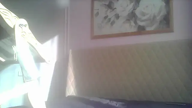 Snapshot of SunElizabeth chatting on June 2026 02:43:02 AM SunElizabeth online show from June 2026 02:43:02 AM