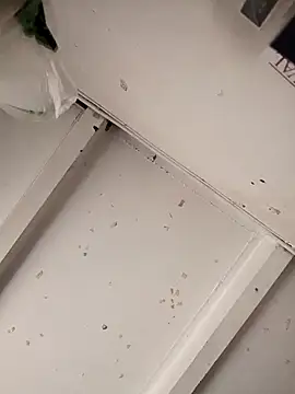 Snapshot of Giselabrunette25 chatting on December 2025 02:43:02 PM Giselabrunette25 online show from December 2025 02:43:02 PM