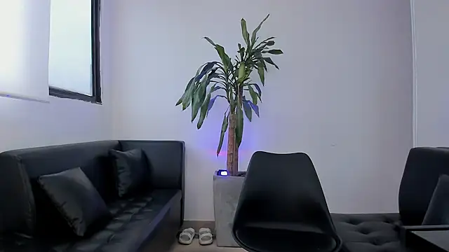 alice greco online show from February 2026 12:54:02 PM