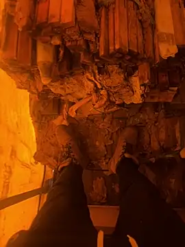 Snapshot of cussy007 chatting on December 2025 01:27:02 PM cussy007 online show from December 2025 01:27:02 PM