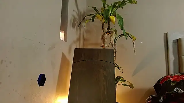 Snapshot of Mr_WhiteCock chatting on December 2024 06:22:02 PM Mr WhiteCock online show from December 2024 06:22:02 PM