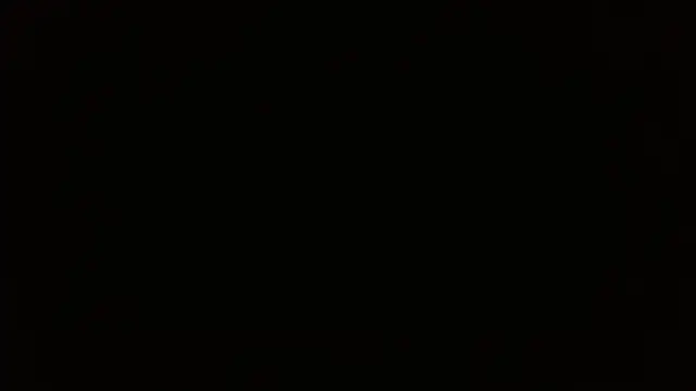 Snapshot of Mr_WhiteCock chatting on January 2025 04:46:02 PM Mr WhiteCock online show from January 2025 04:46:02 PM