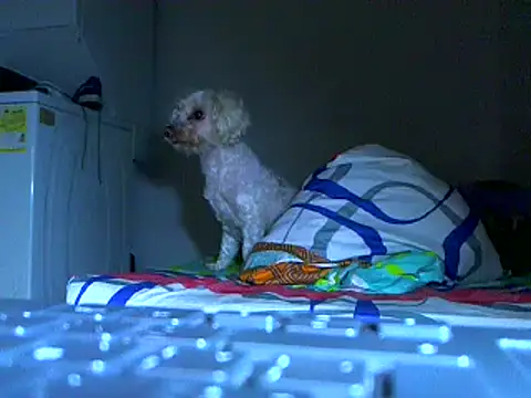 Ian zaenzz online show from November 2025 05:09:02 AM