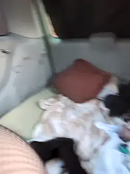 hotcd89 online show from April 2026 12:26:02 PM