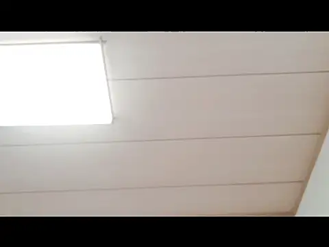 xxArisaxx online show from November 2025 06:05:02 AM