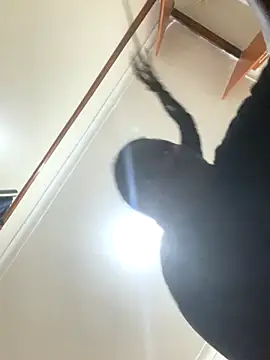 sweet18creamybigpussy online show from November 2025 08:09:01 PM