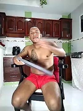Snapshot of ARTHUR_MINI chatting on January 2025 04:06:01 AM ARTHUR MINI online show from January 2025 04:06:01 AM
