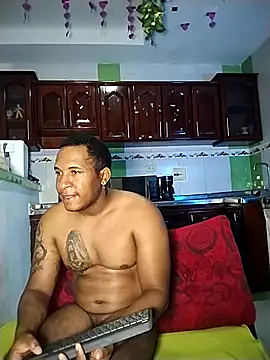 Snapshot of ARTHUR_MINI chatting on February 2025 09:02:01 AM ARTHUR MINI online show from February 2025 09:02:01 AM