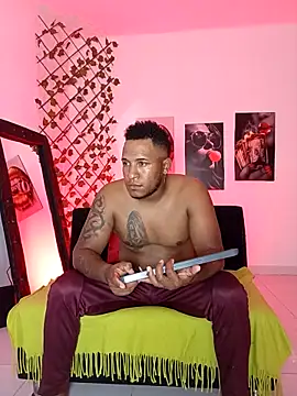 Snapshot of ARTHUR_MINI chatting on October 2025 01:02:02 AM ARTHUR MINI online show from October 2025 01:02:02 AM
