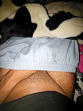 Ali rz94 online show from December 2025 10:48:02 PM