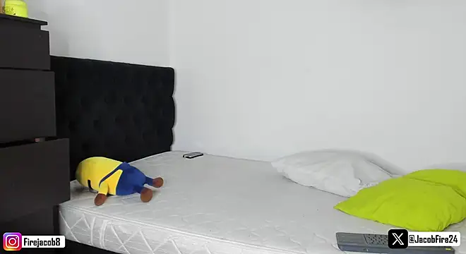 Snapshot of jacob_firexx chatting on February 2025 12:33:01 PM jacob firexx online show from February 2025 12:33:01 PM