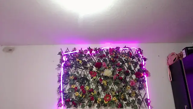 Snapshot of sexysusan4you chatting on November 2025 06:20:01 PM sexysusan4you online show from November 2025 06:20:01 PM