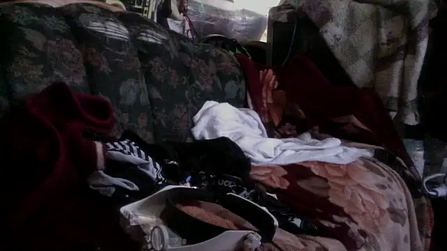 Snapshot of Phelyxx_elgato chatting on December 2024 12:12:01 AM Phelyxx elgato online show from December 2024 12:12:01 AM