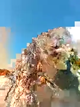 vulgovic  online show from May 2026 07:22:01 PM