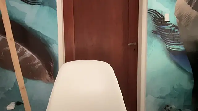 Snapshot of Aggbb chatting on March 2025 12:40:02 PM Aggbb online show from March 2025 12:40:02 PM