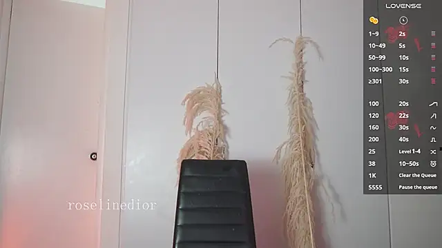 Snapshot of roselinedior chatting on January 2026 01:16:01 PM roselinedior online show from January 2026 01:16:01 PM