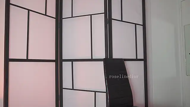 Snapshot of roselinedior chatting on February 2026 04:49:01 PM roselinedior online show from February 2026 04:49:01 PM