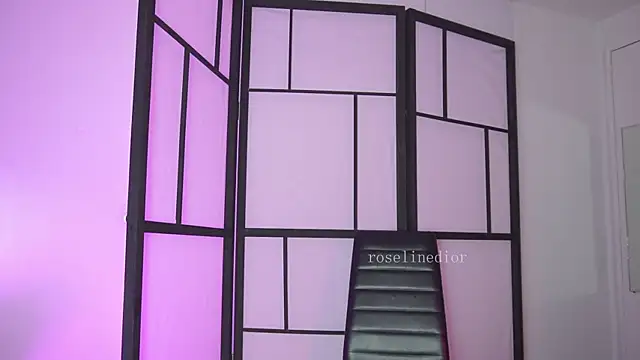 Snapshot of roselinedior chatting on February 2026 02:05:01 PM roselinedior online show from February 2026 02:05:01 PM