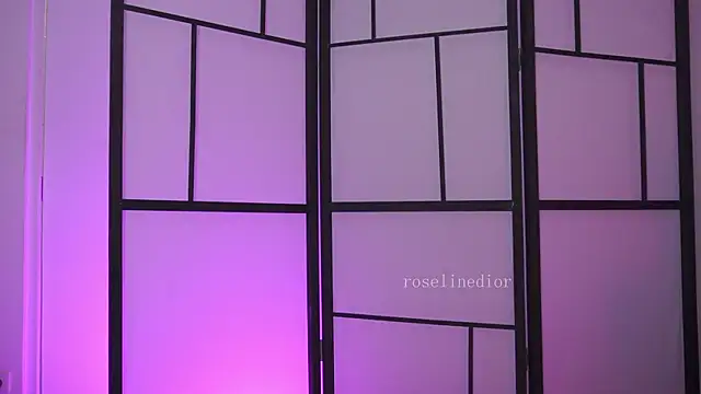 Snapshot of roselinedior chatting on February 2026 07:36:01 PM roselinedior online show from February 2026 07:36:01 PM