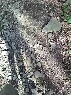 FreezingTie850 online show from April 2026 10:16:01 AM