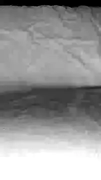 BigAssKi online show from February 2025 03:06:01 PM