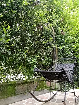 sebasxx97 online show from February 2026 03:19:02 PM