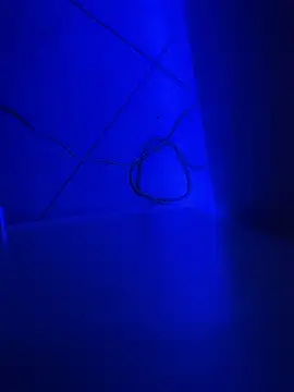 Snapshot of Bennyben8604 chatting on December 2024 09:11:01 PM Bennyben8604 online show from December 2024 09:11:01 PM