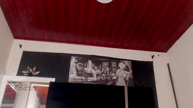 Snapshot of Demyraii chatting on February 2025 04:48:02 PM Demyraii online show from February 2025 04:48:02 PM