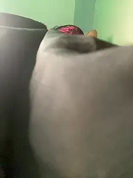 Snapshot of Cherrytowild chatting on February 2025 08:47:01 PM Cherrytowild online show from February 2025 08:47:01 PM