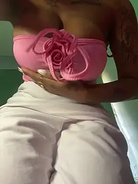 Snapshot of Cherrytowild chatting on March 2025 08:38:02 AM Cherrytowild online show from March 2025 08:38:02 AM