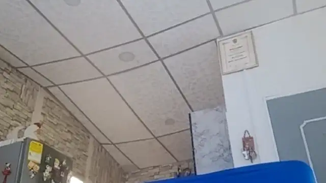 Lilly macflyy online show from February 2026 03:57:01 PM