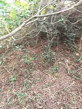 Snapshot of HathodaTyagi123 chatting on December 2024 07:37:01 AM HathodaTyagi123 online show from December 2024 07:37:01 AM