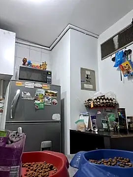 Snapshot of Hot_sophie_ chatting on February 2025 02:51:01 AM Hot sophie  online show from February 2025 02:51:01 AM