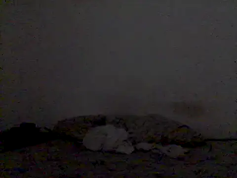 Snapshot of mariy_ chatting on March 2025 09:48:01 PM mariy  online show from March 2025 09:48:01 PM