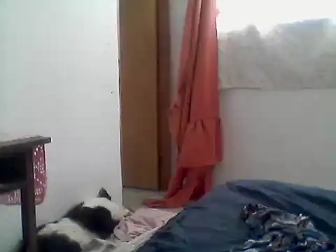 Snapshot of mariy_ chatting on December 2025 03:50:02 PM mariy online show from December 2025 03:50:02 PM