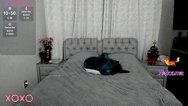 rocky foxy online show from January 2025 01:00:01 AM