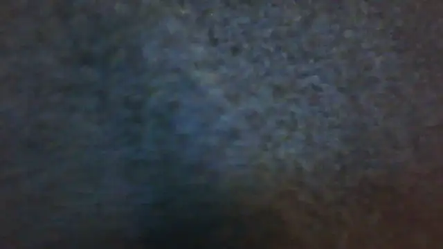 Snapshot of wedge75 chatting on December 2024 03:03:02 PM wedge75 online show from December 2024 03:03:02 PM