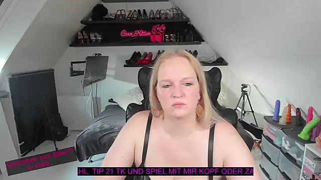 caro kitten online show from January 2026 11:04:01 AM