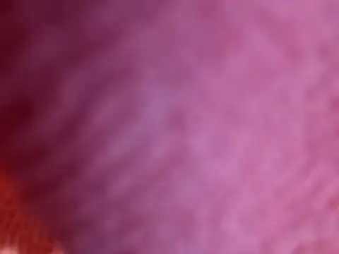 Amarok39 online show from October 2025 07:47:01 PM