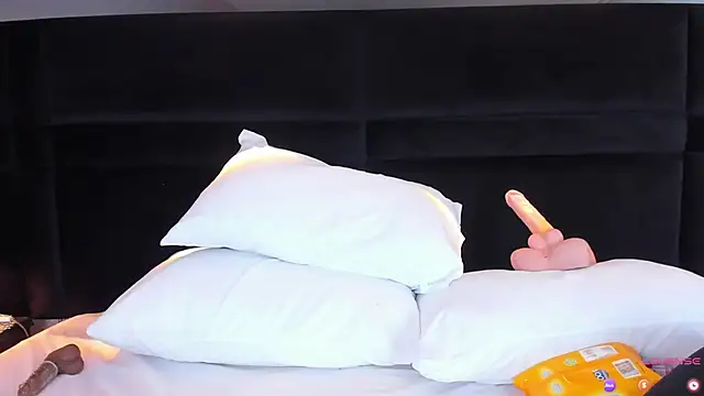 Snapshot of MiaStor chatting on January 2025 08:46:01 PM MiaStor online show from January 2025 08:46:01 PM