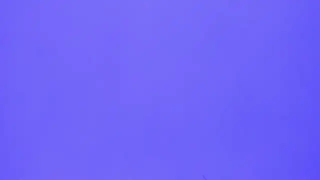 brenda sofia2 online show from November 2025 03:11:01 PM