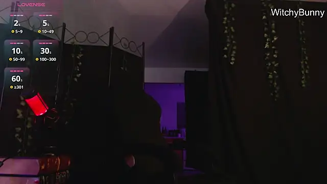 witchybunny online show from December 2024 10:58:02 AM