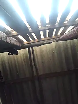 HotSexyBoudi online show from February 2025 09:28:01 AM