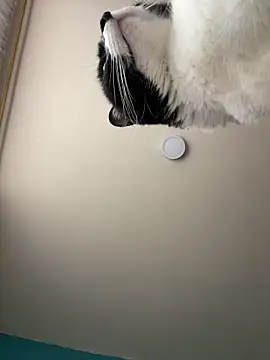 Kimmymadison- online show from January 2026 09:07:02 PM